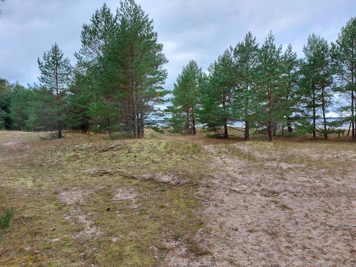 Loksapark1 Apartman Kültér fotó